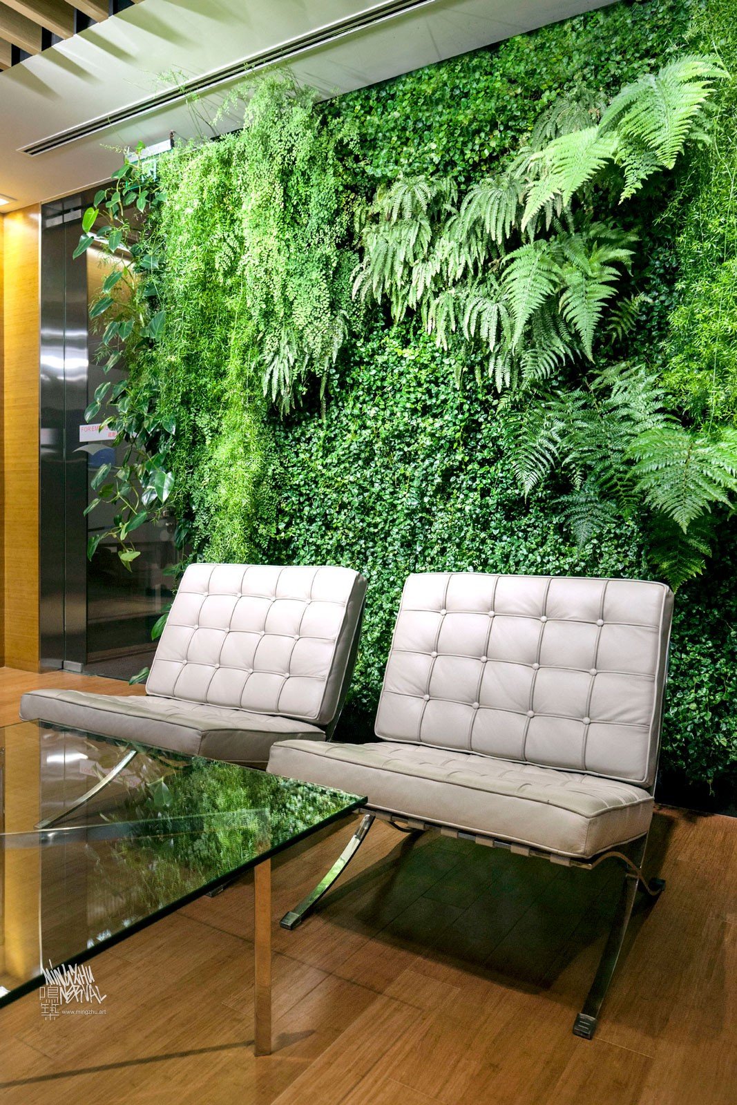 Mingzhu Nerval vertical living wall experts created a healthy nature workspace at Lendlease in Shanghai, 2014