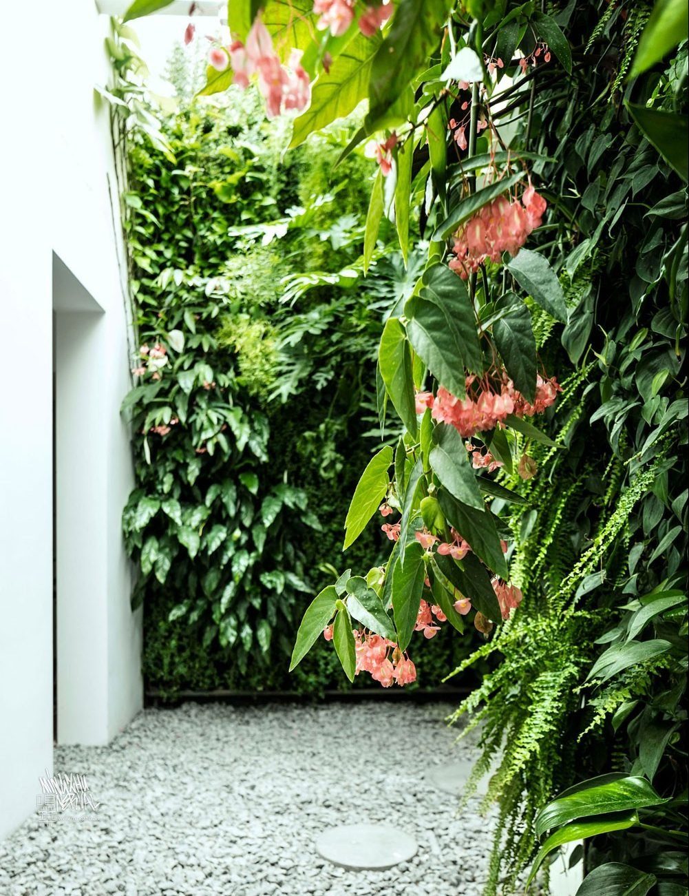 Mingzhu Nerval vertical living wall experts created the garden design for this luxury apartment in Shanghai, 2013