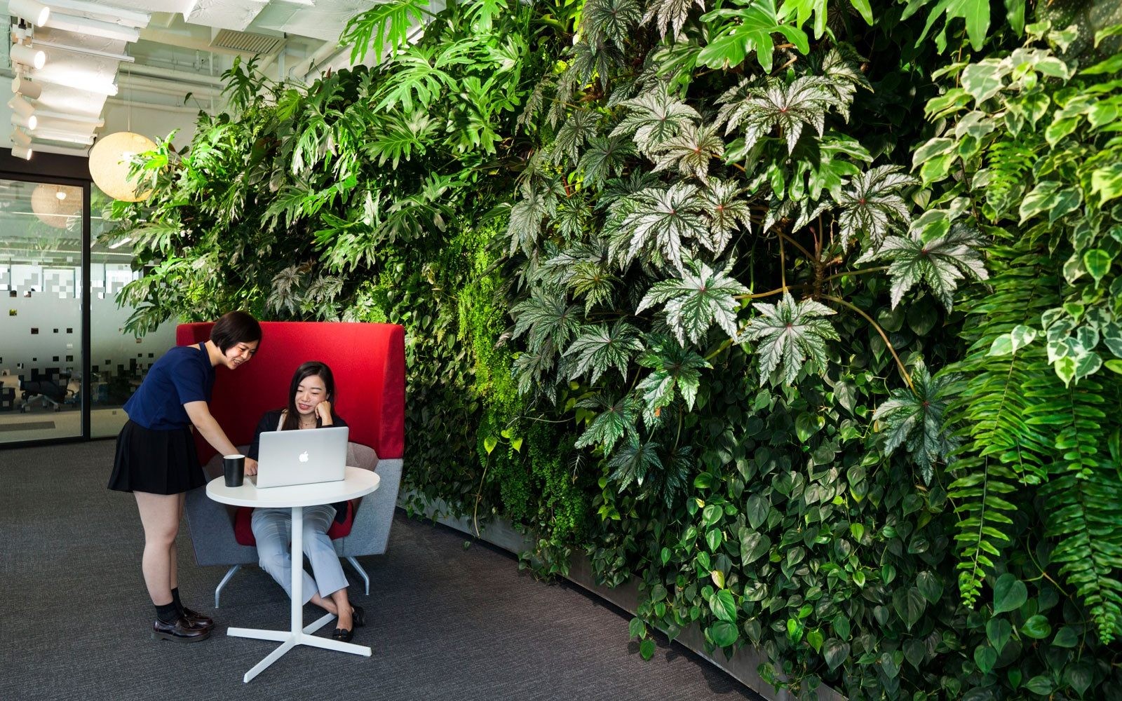 Mingzhu Nerval vertical living wall experts created a healthy nature workspace for Google in Beijing, 2016