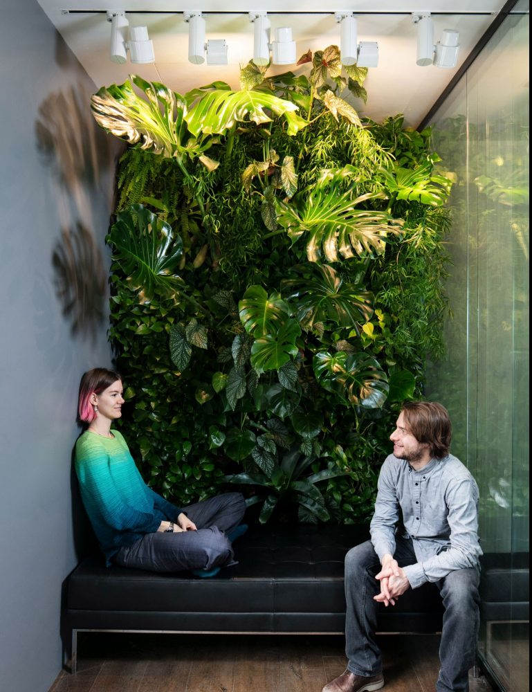 Mingzhu Nerval vertical living wall experts created the best garden design art at Studio Illumine in Shanghai.