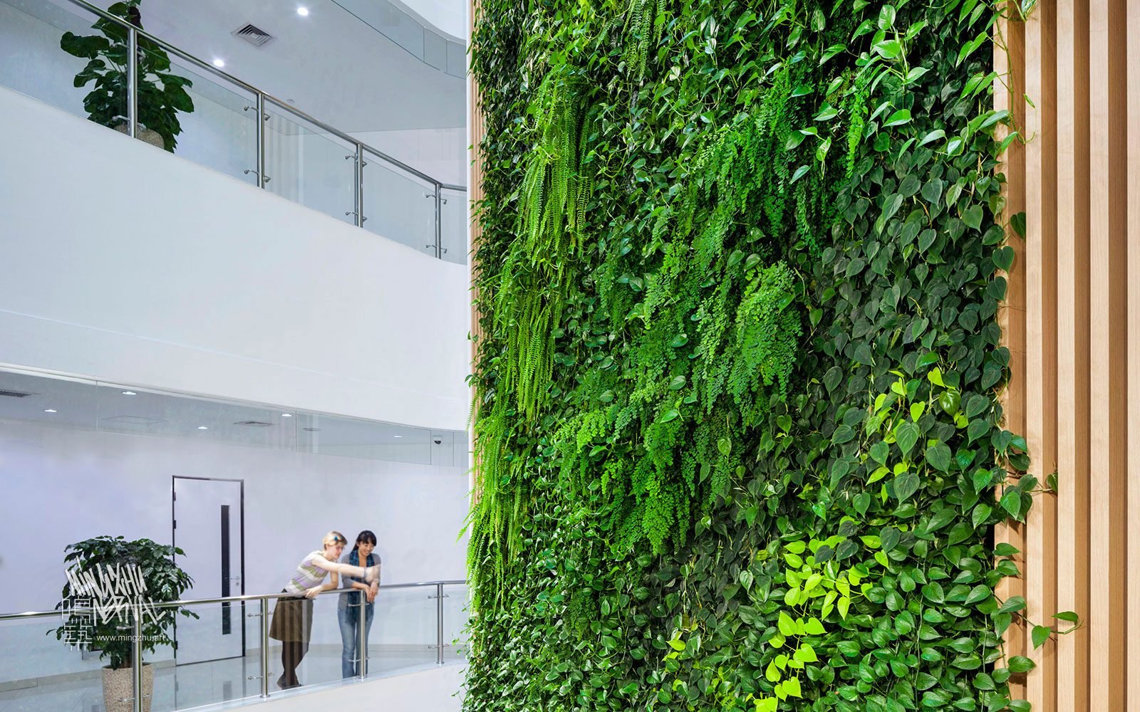 At Mingzhu Nerval, we thrive at creating the most beautiful vertical gardens in the world. For SAP, we created a "waterfall" living wall design - Shanghai, 2012.