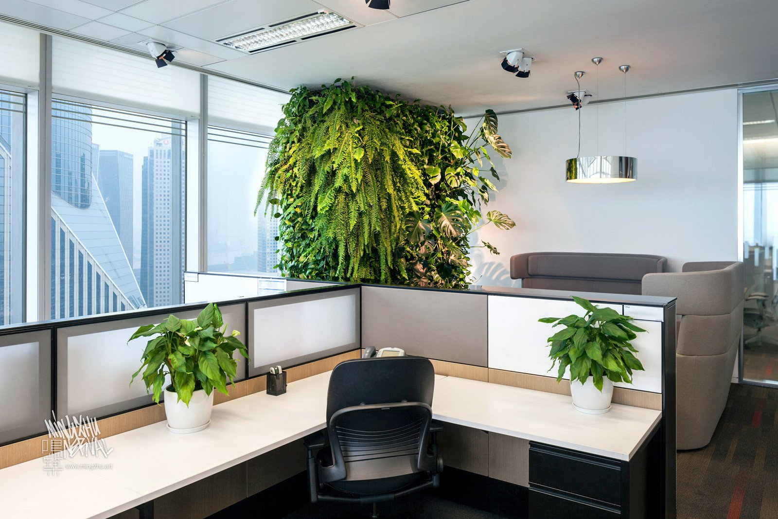 Mingzhu Nerval vertical living wall experts created a healthy nature workspace at Citrix Systems in Shanghai, 2011