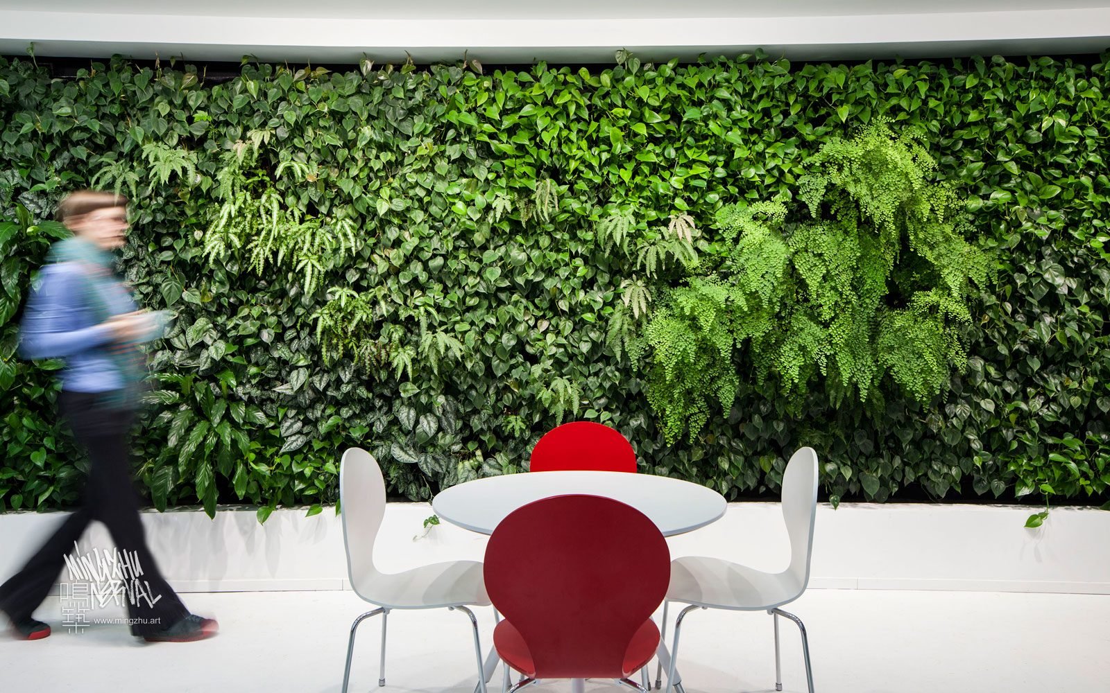 At Mingzhu Nerval, we thrive at creating the most beautiful vertical gardens in the world. For H&M, we created a classy living wall design - Shanghai, 2012.