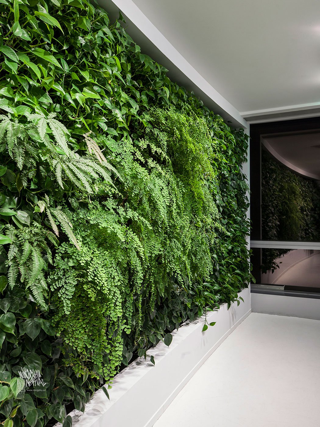 Mingzhu Nerval vertical living wall experts created a healthy nature workspace at H&M in Shanghai, 2012