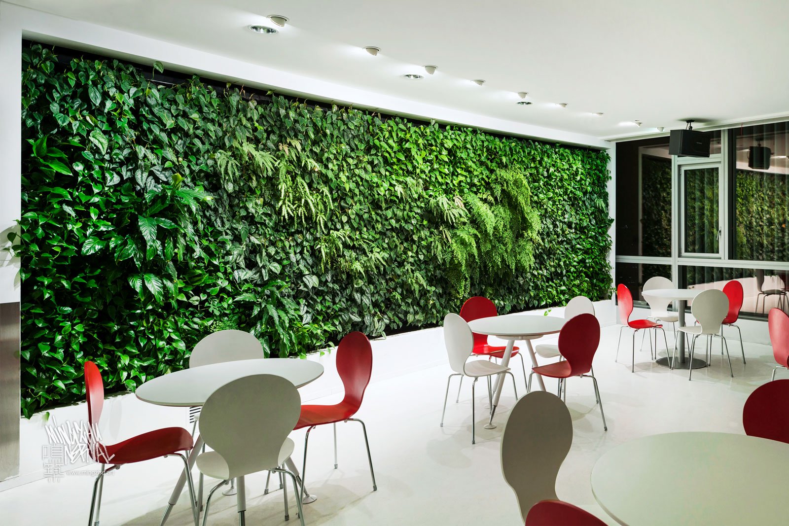 Mingzhu Nerval vertical living wall experts created a healthy nature workspace at H&M in Shanghai, 2012