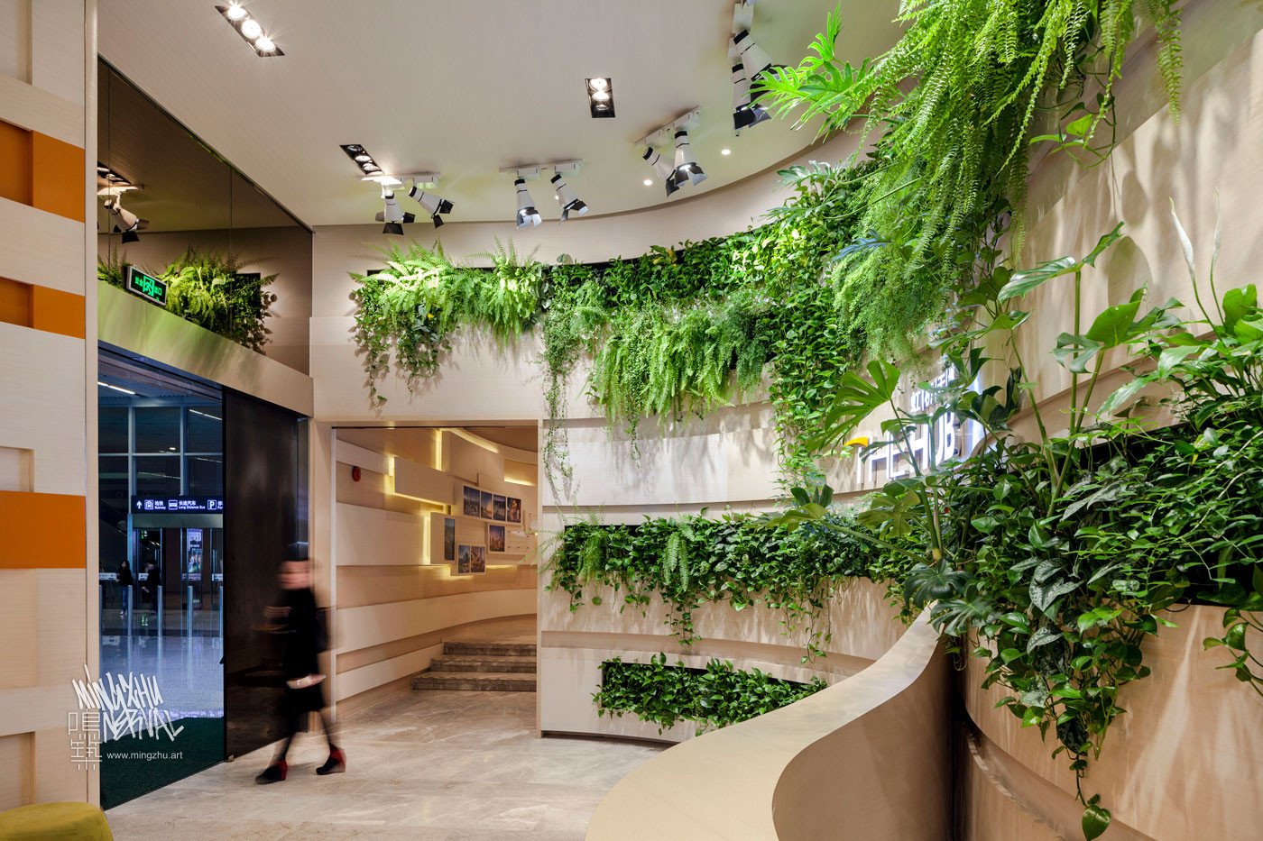 Mingzhu Nerval vertical living wall experts created the green living wall garden design at the Shui-On Showroom, The Hub in Shanghai, 2012