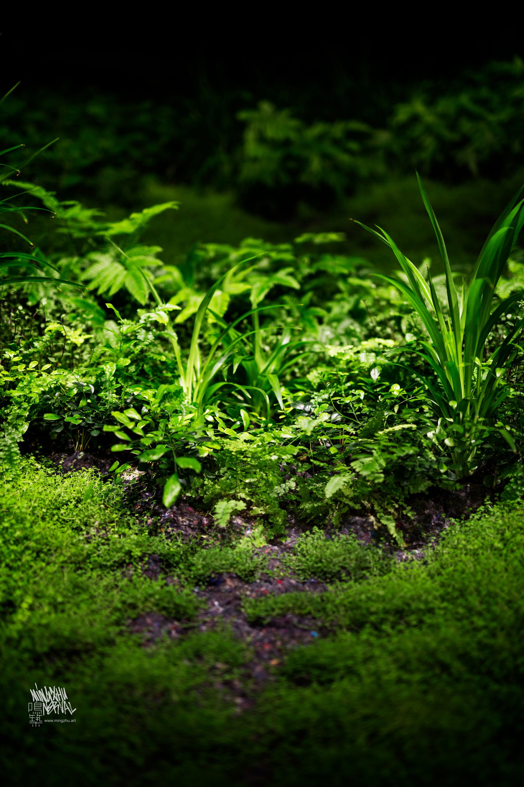 Mingzhu Nerval vertical living wall experts created a forest art design for this private art Foundation in Chengdu, 2016