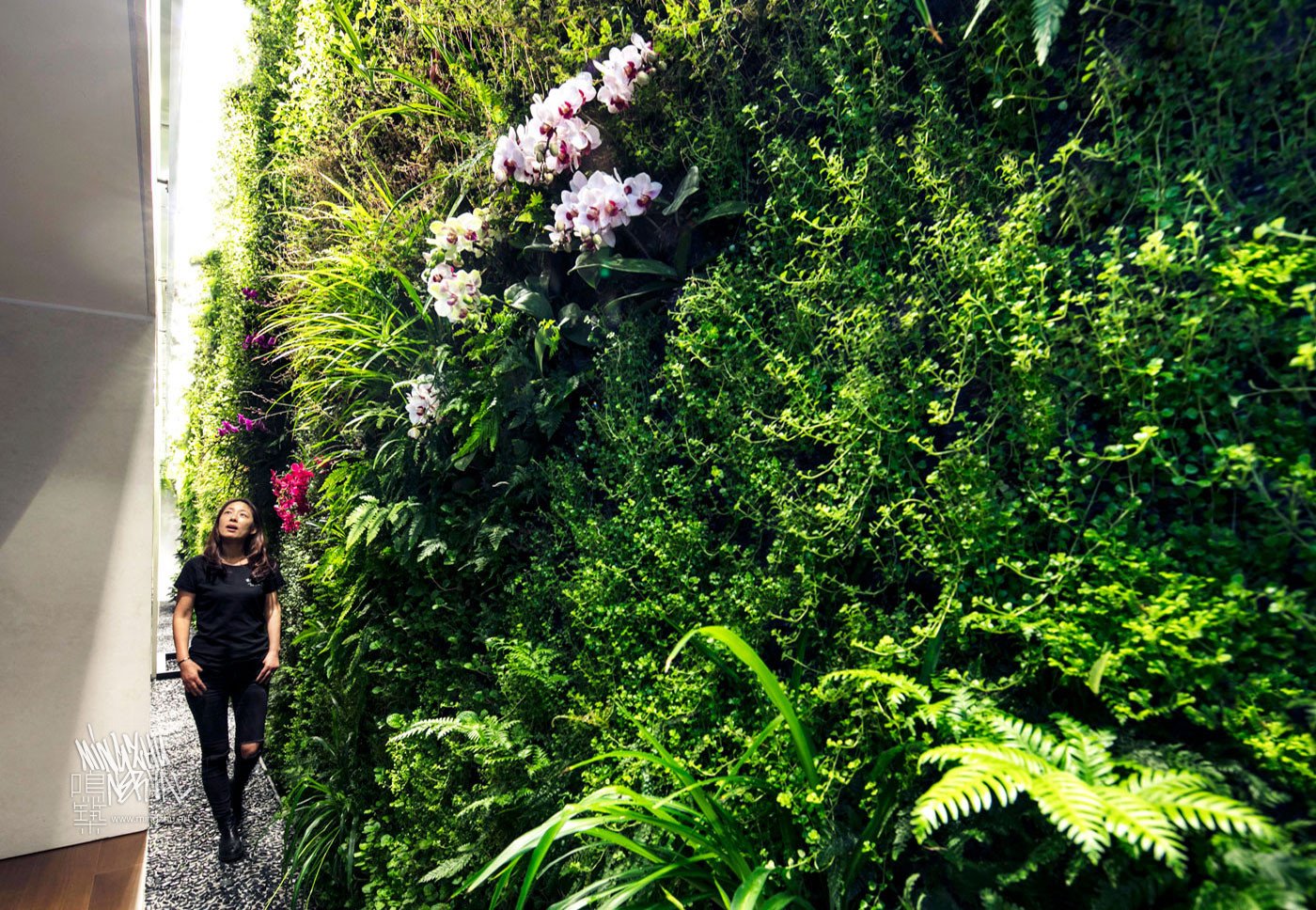 Mingzhu Nerval vertical living wall experts created the garden design for this luxury home villa in Hong Kong, 2016