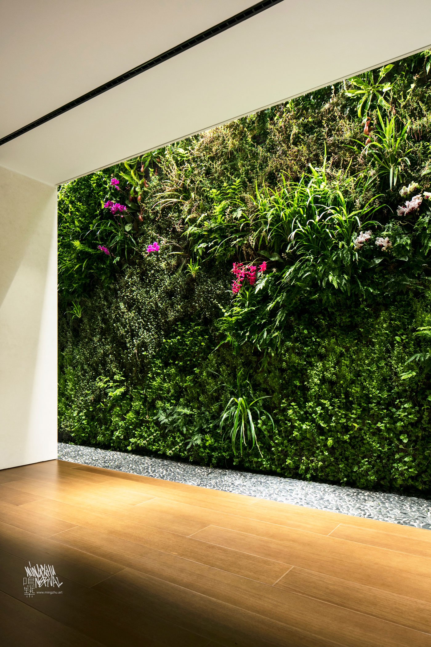 Mingzhu Nerval vertical living wall experts created the garden design for this luxury home villa in Hong Kong, 2016
