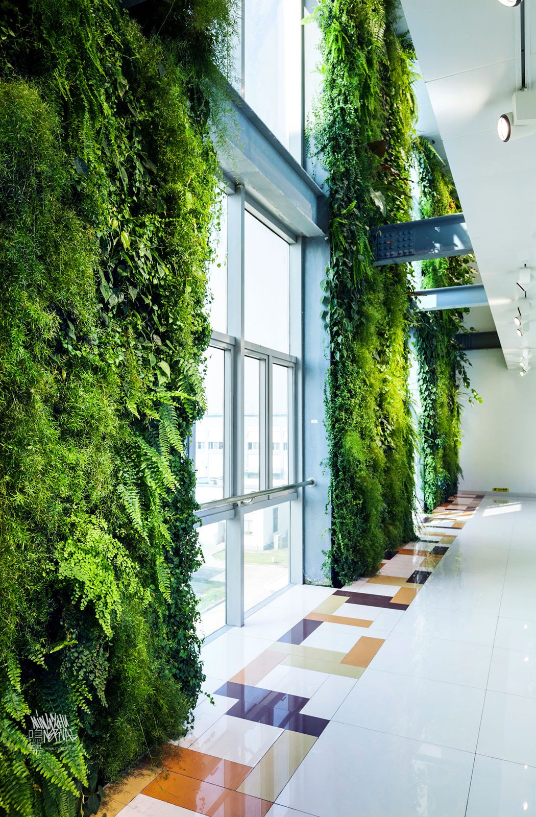 Mingzhu Nerval vertical living wall experts created a healthy nature workspace at Rhodia Solvay in Shanghai, 2013