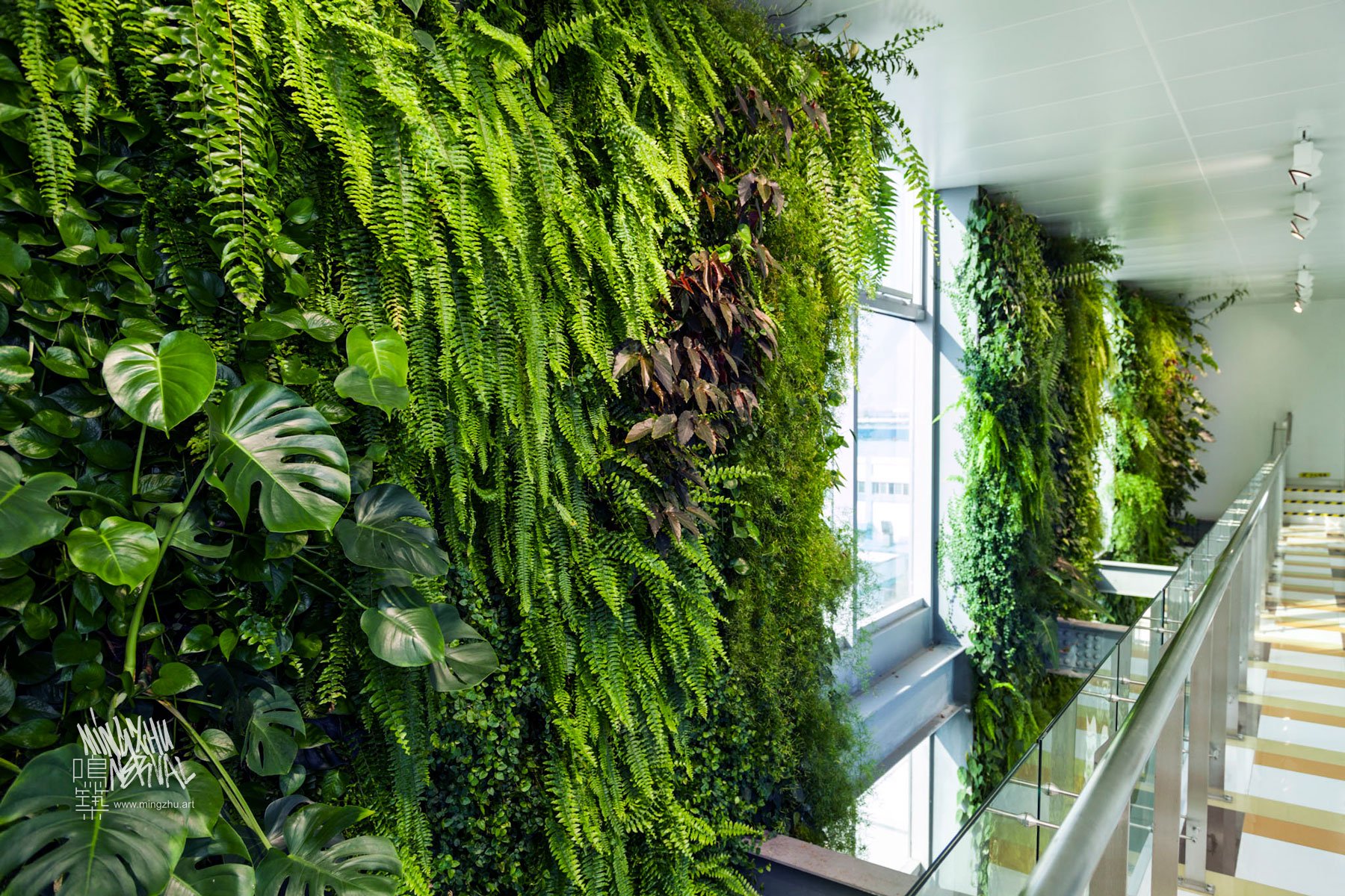 Mingzhu Nerval vertical living wall experts created a healthy nature workspace at Rhodia Solvay in Shanghai, 2013