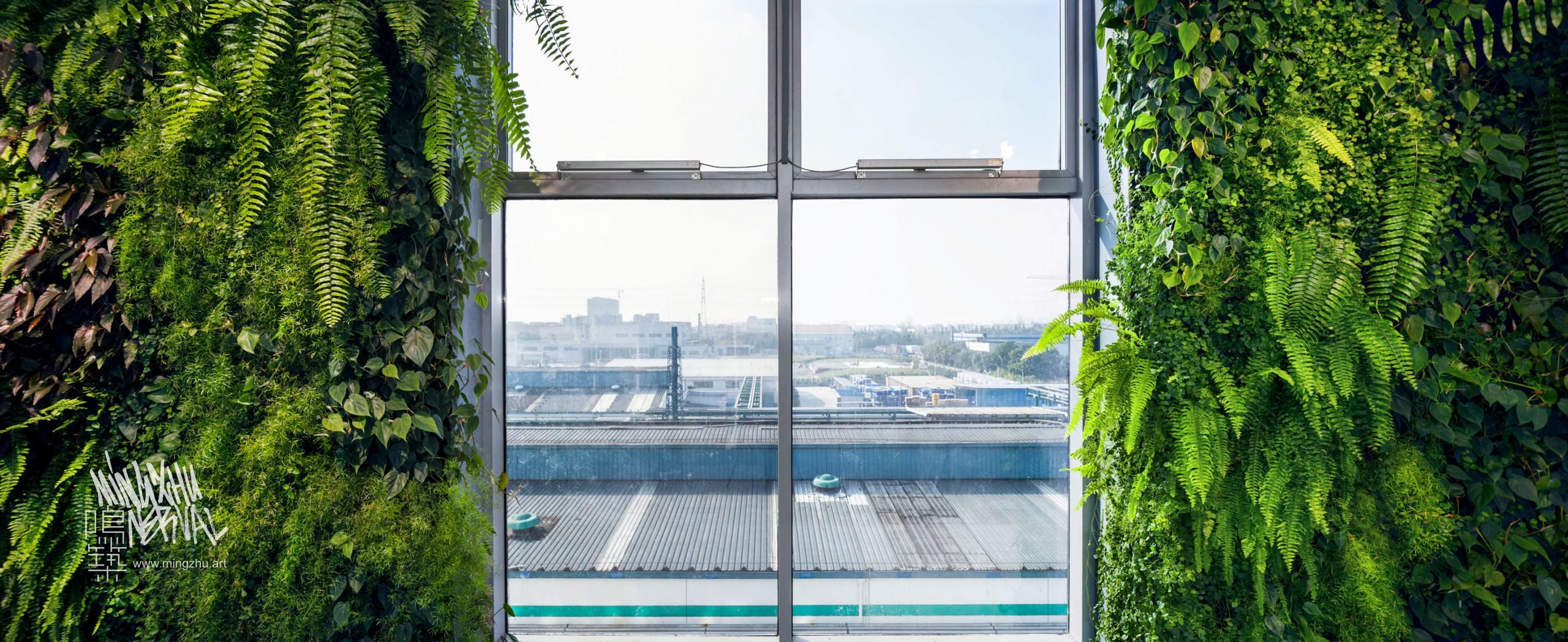 Mingzhu Nerval vertical living wall experts created a healthy nature workspace at Rhodia Solvay in Shanghai, 2013