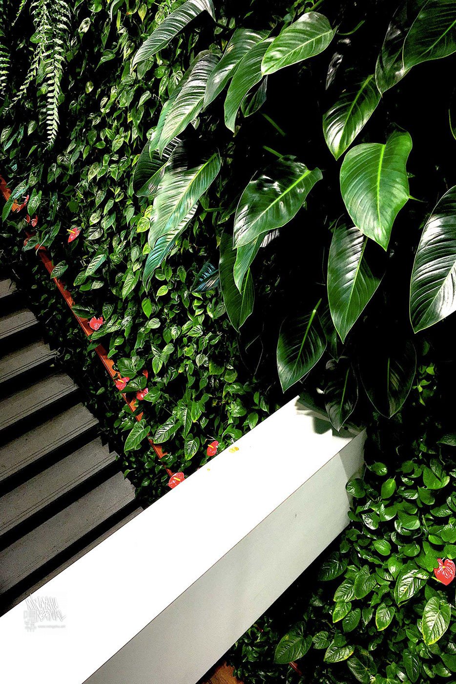 Vertical garden by Mingzhu Nerval at JLL in Shanghai, 2017
