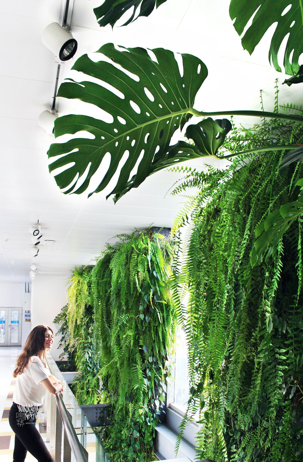 Mingzhu Nerval vertical living wall experts created a healthy nature workspace at Rhodia Solvay in Shanghai, 2013