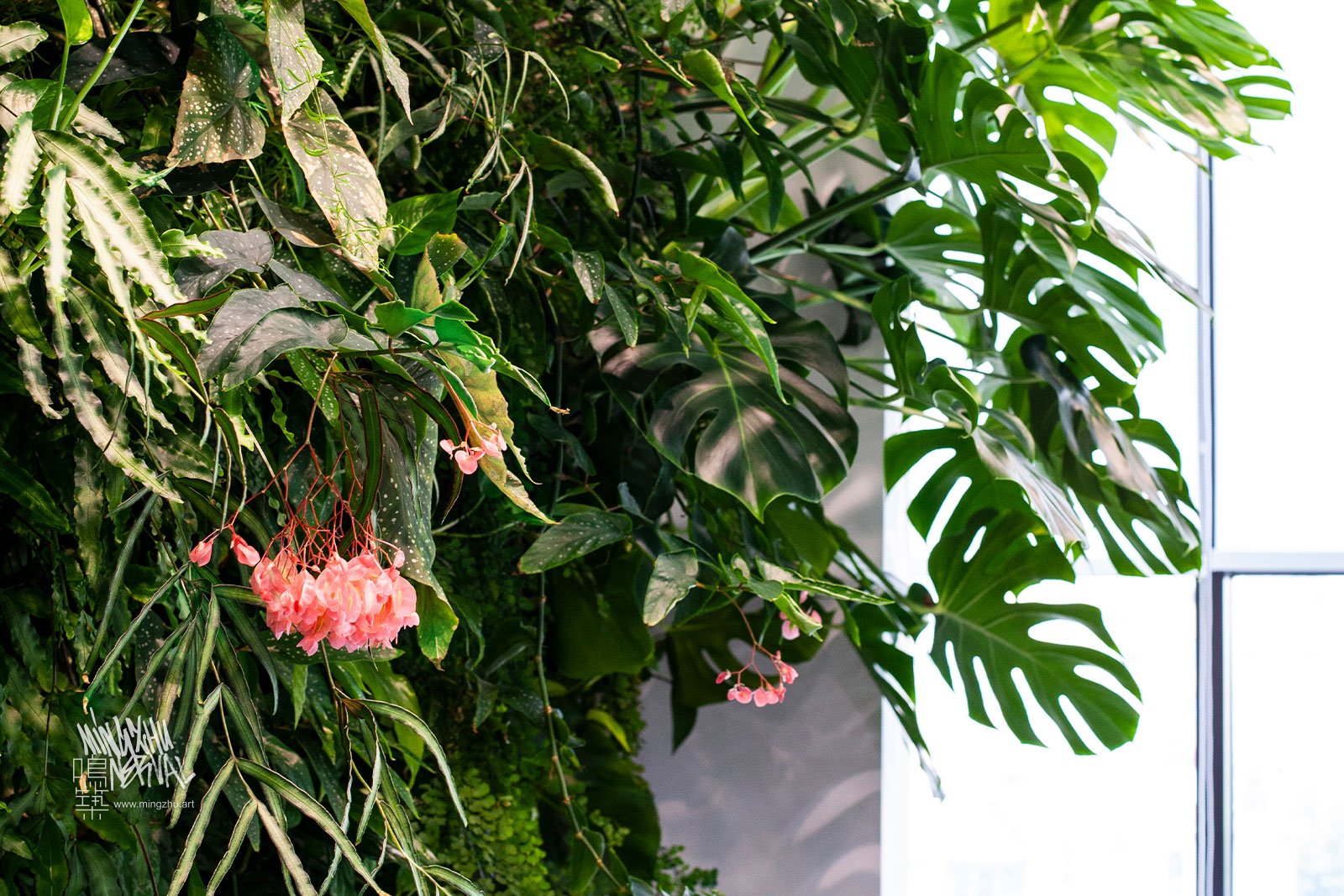 Mingzhu Nerval vertical living wall experts created a healthy nature workspace at SCA in Shanghai, 2013