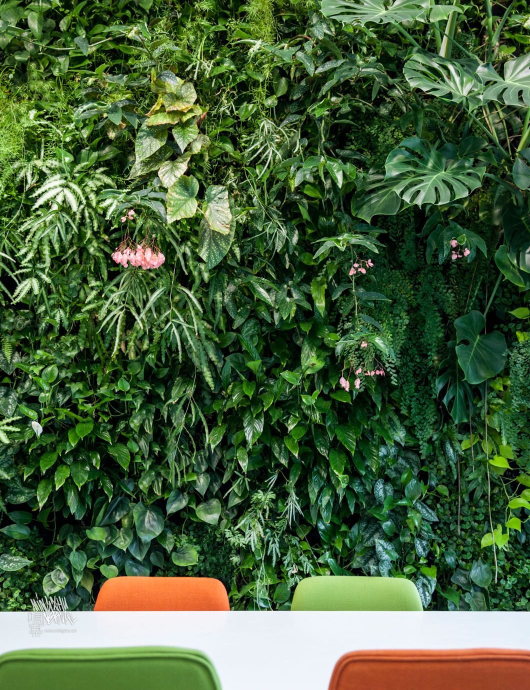 At Mingzhu Nerval, we thrive at creating the most beautiful vertical gardens in the world. For SCA, we created a fresh living wall design - Shanghai, 2011.