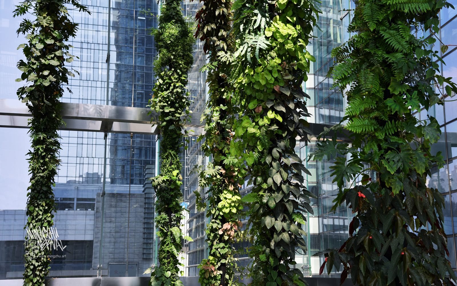 Vertical Garden by Mingzhu Nerval | SCC Tower At Mingzhu Nerval, we thrive at creating the most beautiful vertical gardens in the world. For the SCC Tower, we created an impressive living wall design - Shenzhen, 2016.