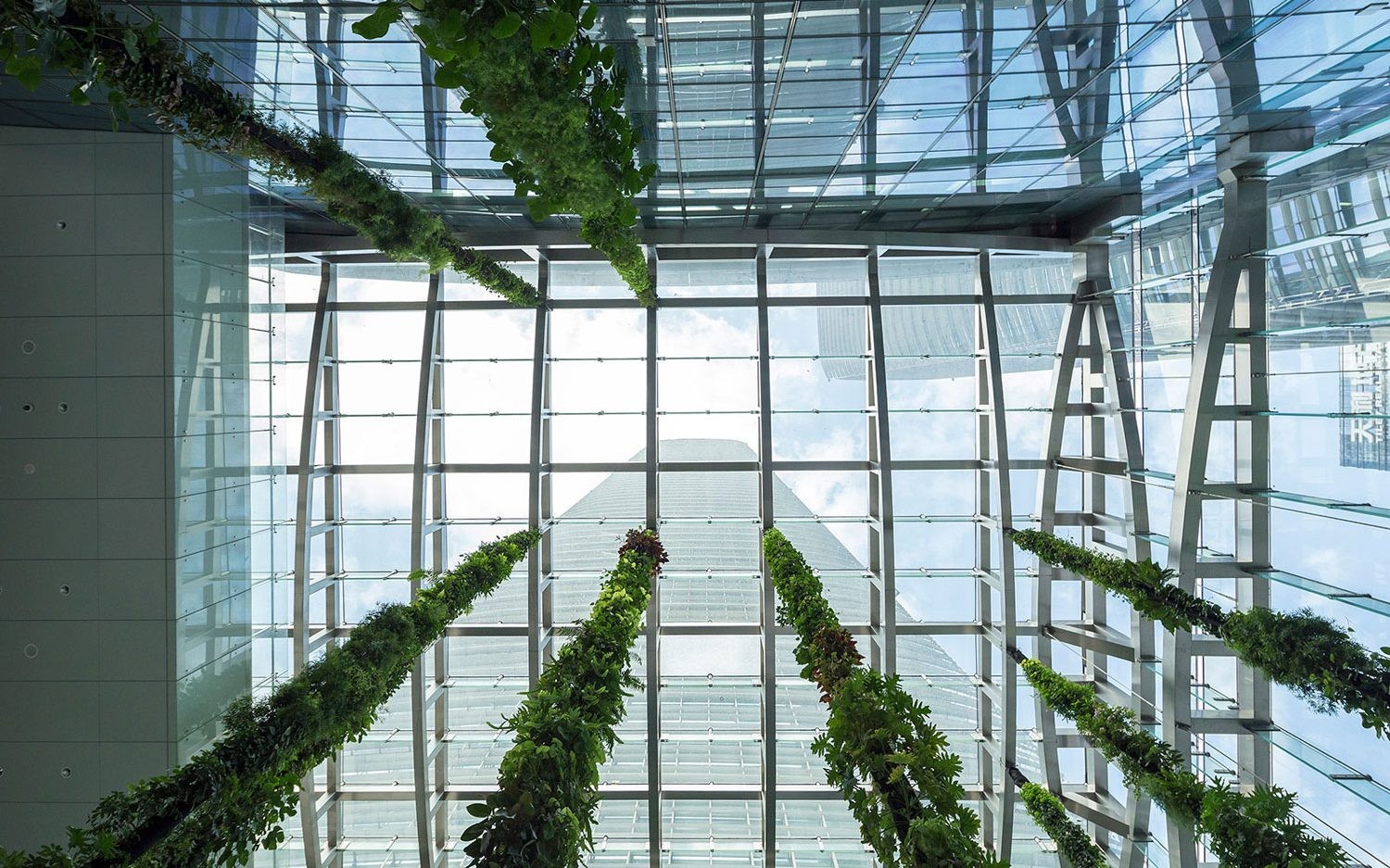 Vertical Garden by Mingzhu Nerval | SCC Tower At Mingzhu Nerval, we thrive at creating the most beautiful vertical gardens in the world. For the SCC Tower, we created an impressive living wall design - Shenzhen, 2016.