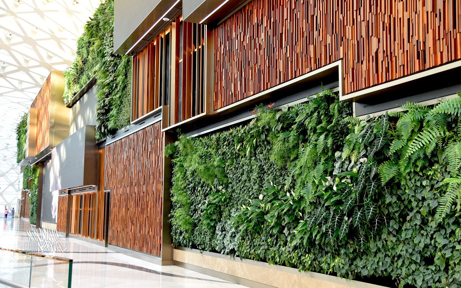 At Mingzhu Nerval, we thrive at creating the most beautiful vertical gardens in the world. For the Nature’s Art MGM Cotai, we created a huge living wall design - Macao, 2018.