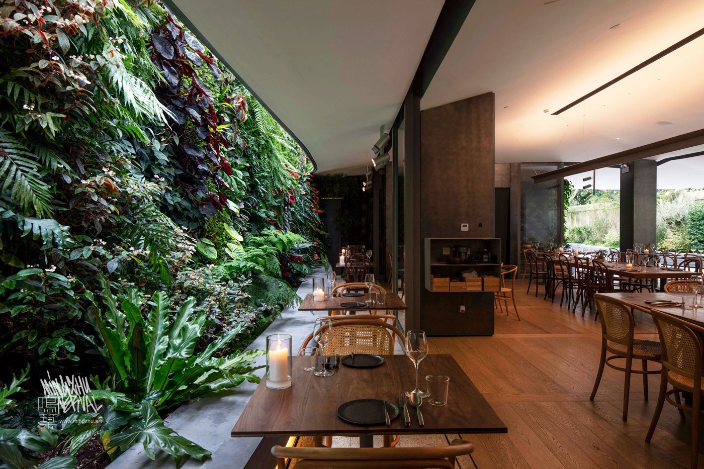Mingzhu Nerval vertical living wall experts created the best garden design art for the Bloom restaurant in Shanghai, 2018