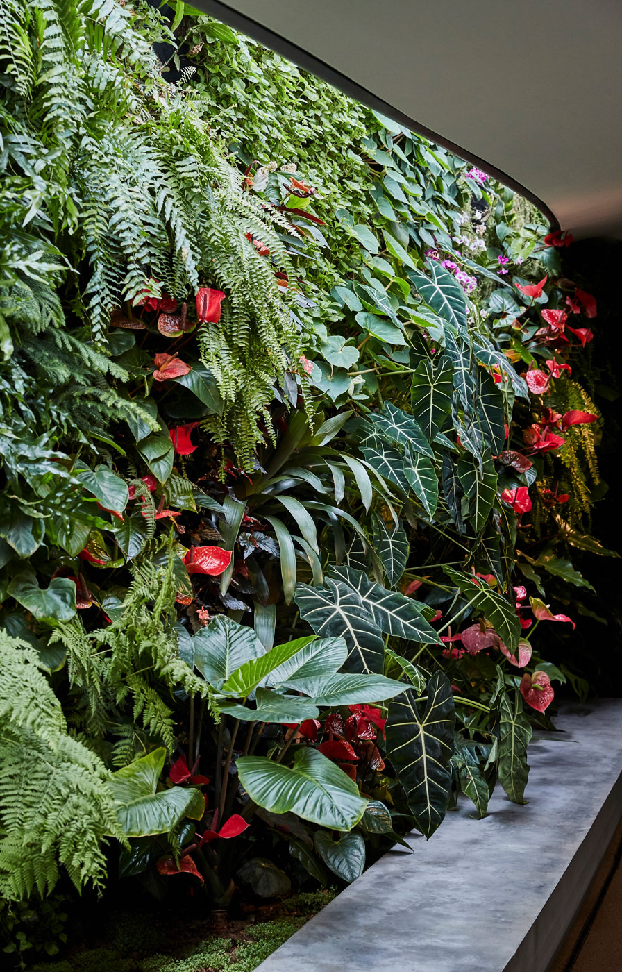 Mingzhu Nerval vertical living wall experts created the best garden design art for the Bloom restaurant in Shanghai, 2018