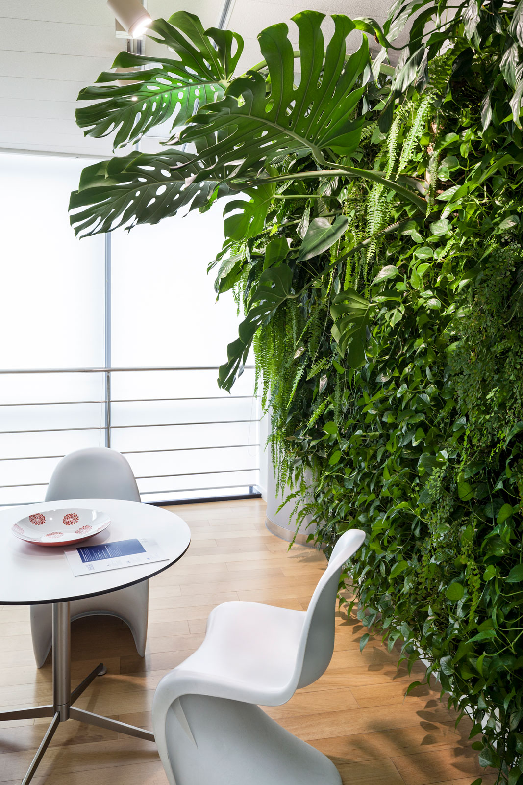 Mingzhu Nerval vertical living wall experts created a healthy nature workspace at the Swedish Consulate in Shanghai, 2012