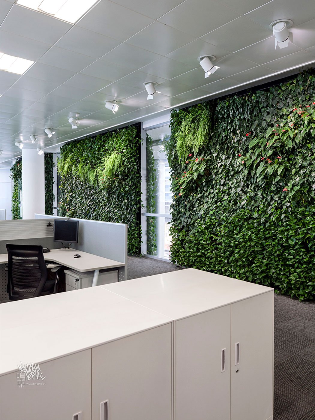 Mingzhu Nerval vertical living wall experts created a healthy nature workspace at ICBC in Shanghai, 2012