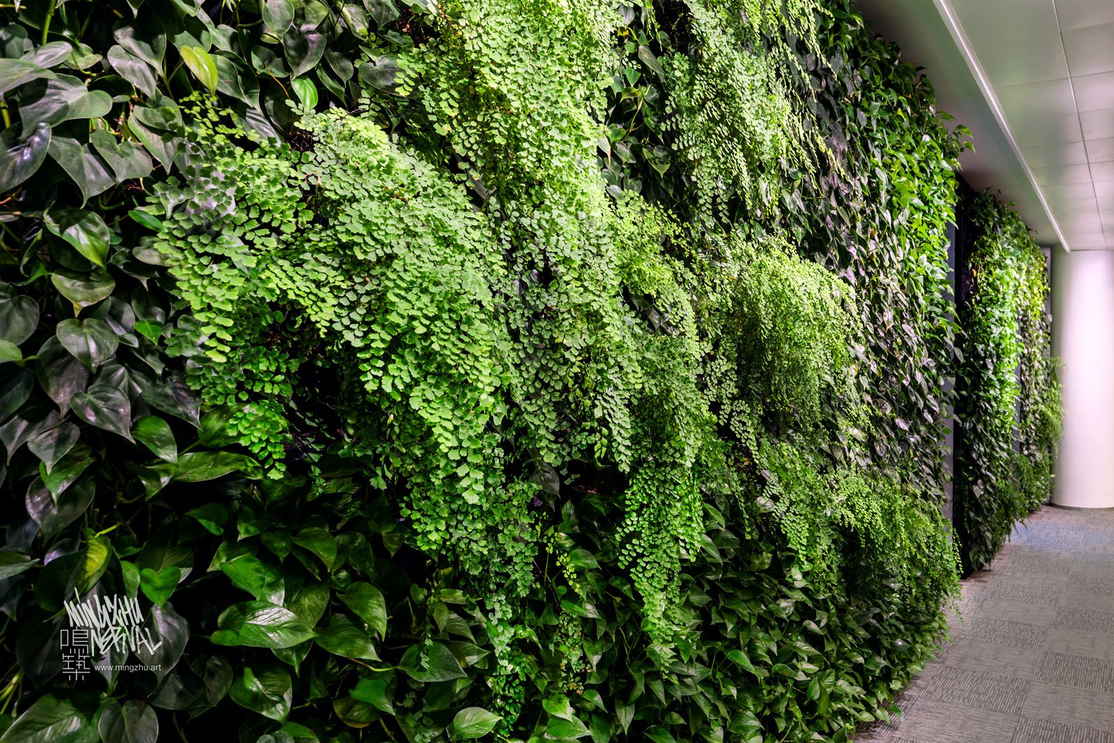 Mingzhu Nerval vertical living wall experts created a healthy nature workspace at ICBC in Shanghai, 2012
