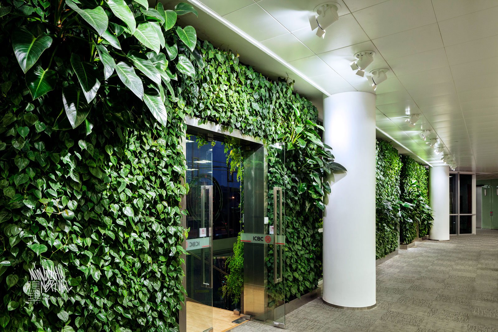 Mingzhu Nerval vertical living wall experts created a healthy nature workspace at ICBC in Shanghai, 2012