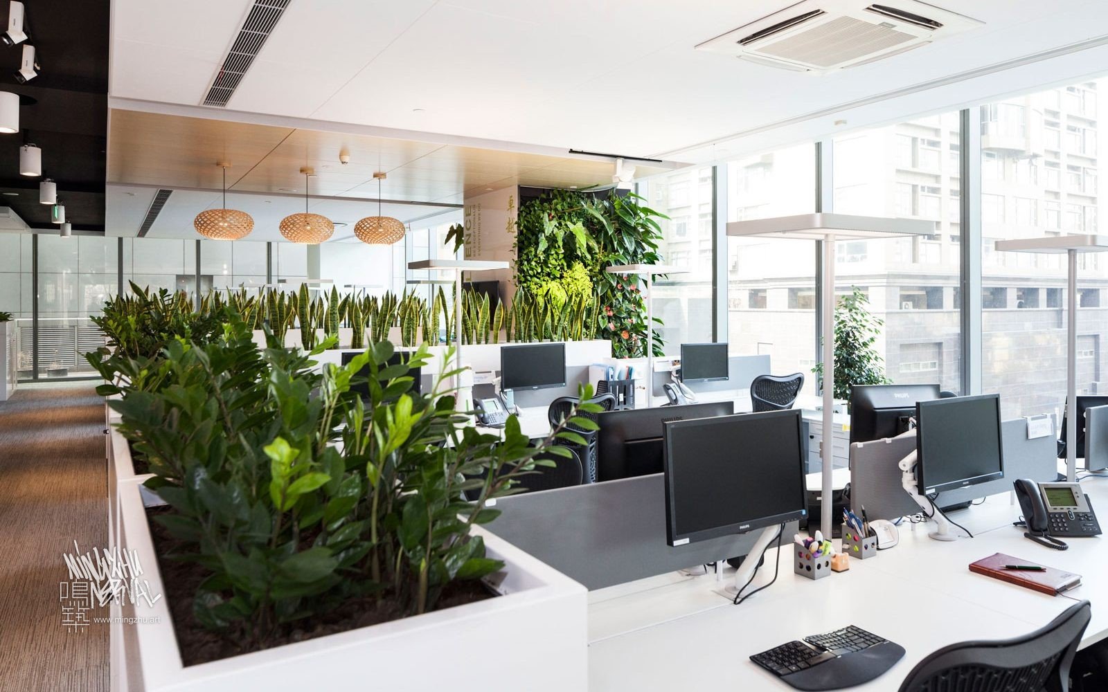 Mingzhu Nerval vertical living wall experts created a healthy nature workspace at Lendlease in Shanghai, 2014