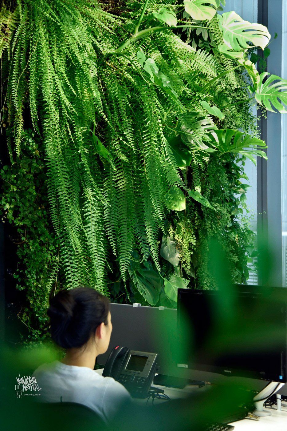 Mingzhu Nerval vertical living wall experts created a healthy nature workspace at Lendlease in Shanghai, 2014