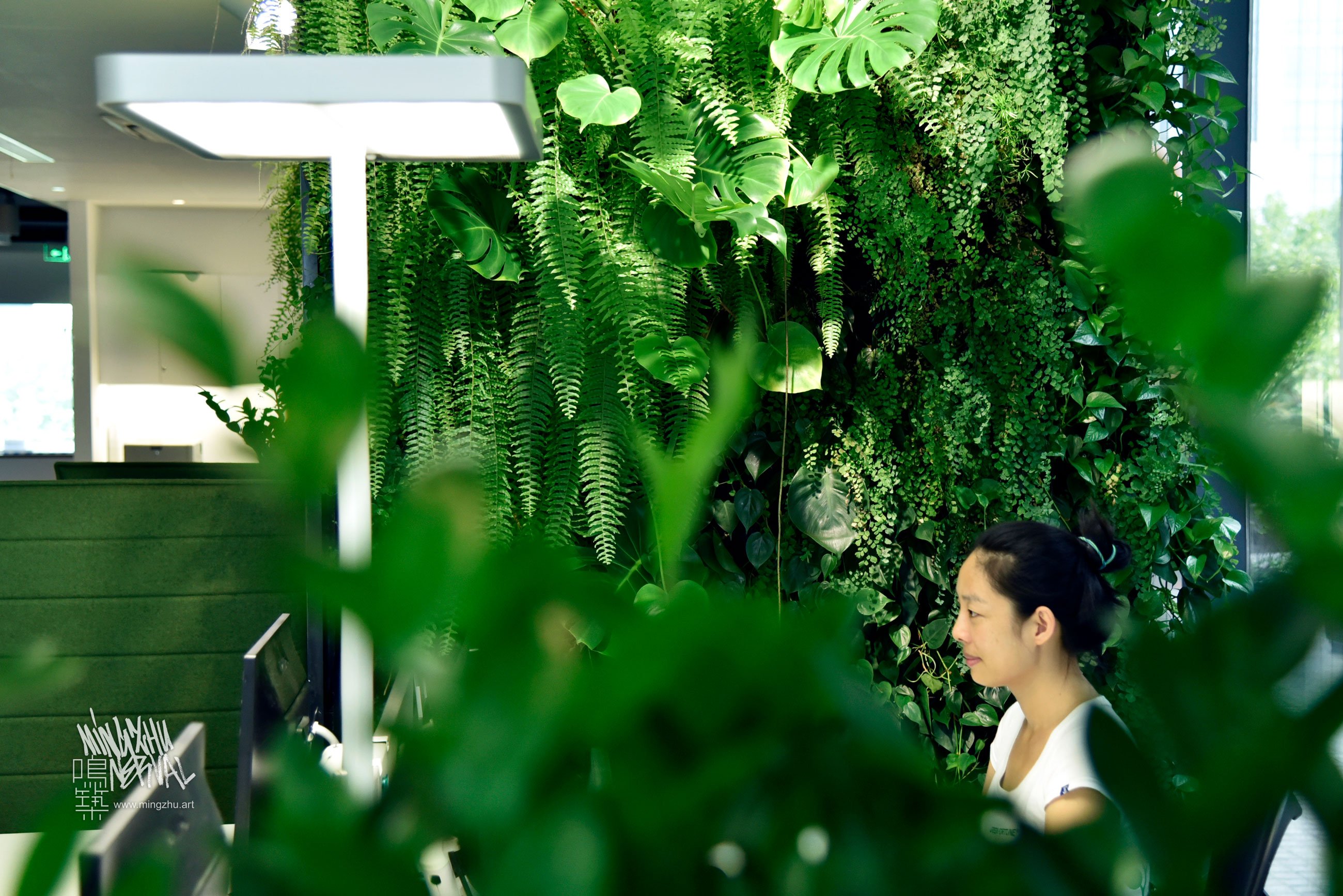 Mingzhu Nerval vertical living wall experts created a healthy nature workspace at Lendlease in Shanghai, 2014