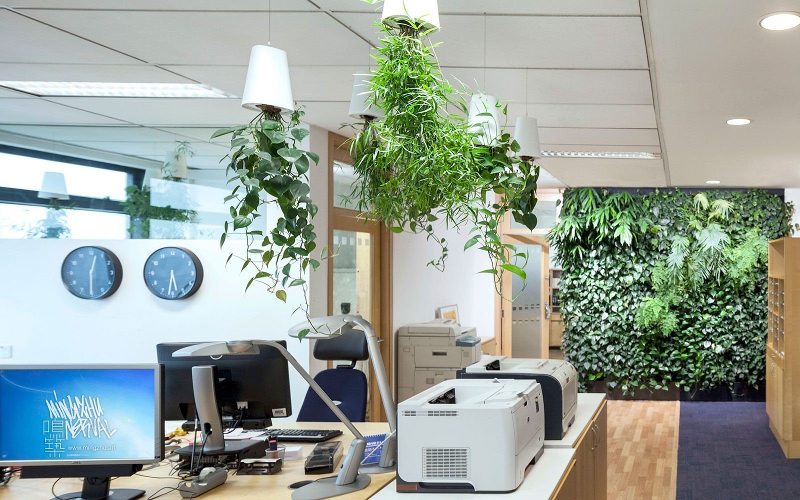 Mingzhu Nerval vertical living wall experts created a healthy nature workspace at the Swedish Consulate in Shanghai, 2012
