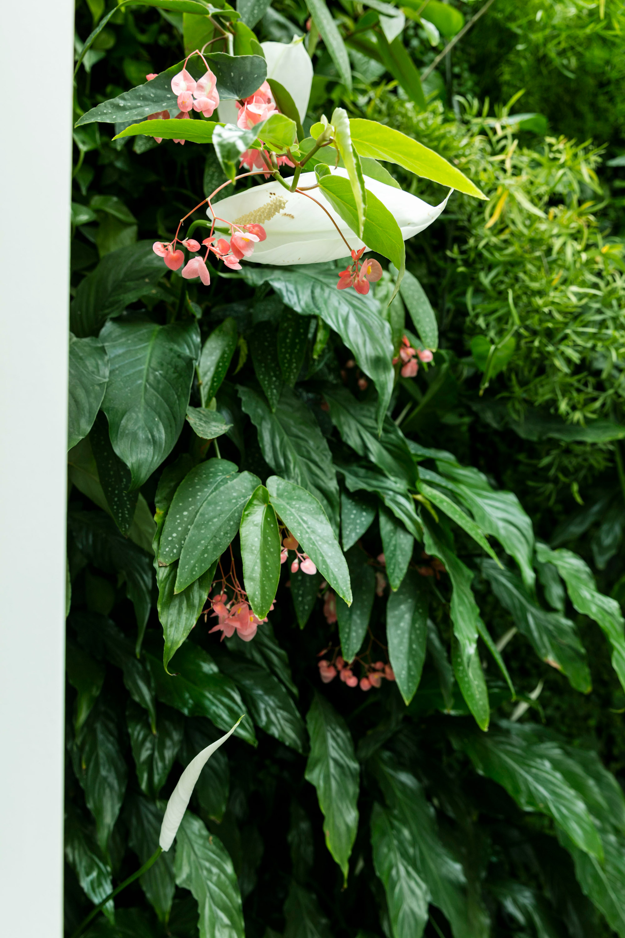 Mingzhu Nerval, Beautiful indoor gardens to bring nature to you, vertical living wall design for this luxury apartment in Shanghai, 2013