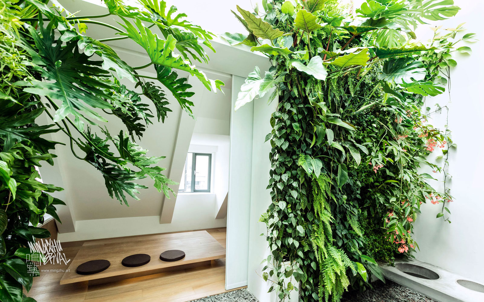 At Mingzhu Nerval, we thrive at creating the most beautiful vertical gardens in the world. For this private apartment, we created a fancy living wall design – Shanghai, 2013.