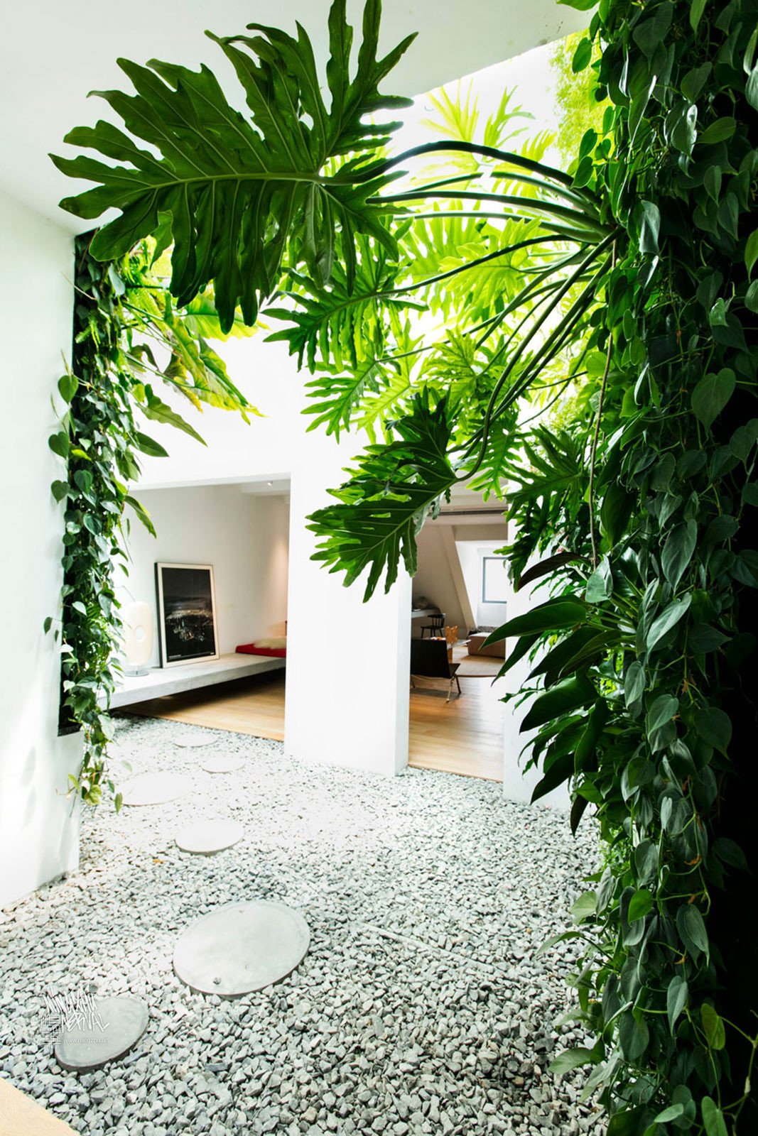Vertical garden by Mingzhu Nerval in a private luxury apartment in Shanghai, 2013