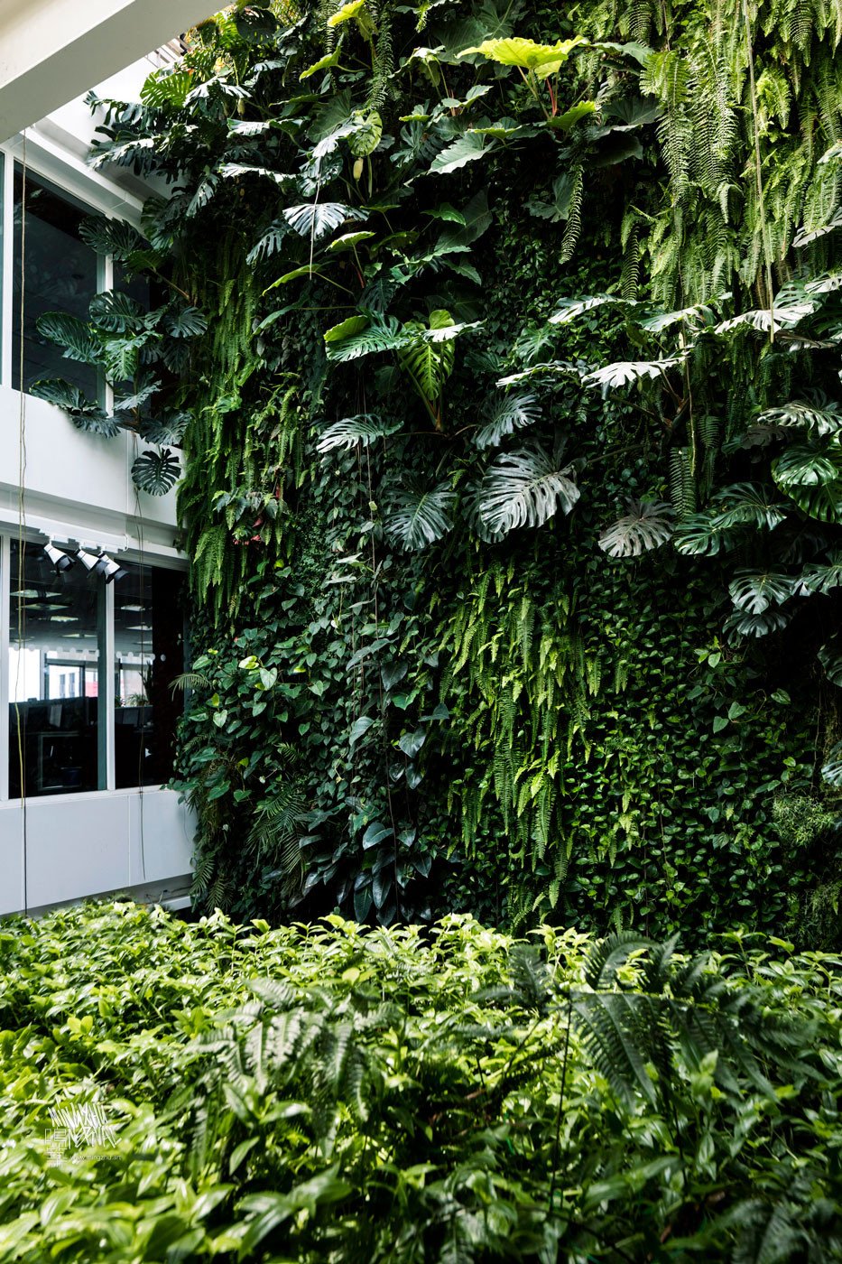 Mingzhu Nerval vertical living wall experts created the best garden design art at Clariant in Shanghai, 2010
