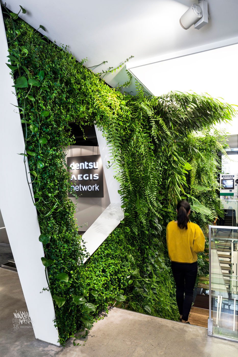 Mingzhu Nerval vertical living wall experts - green wall nature garden at Dentsu Aegis in Shanghai, 2016