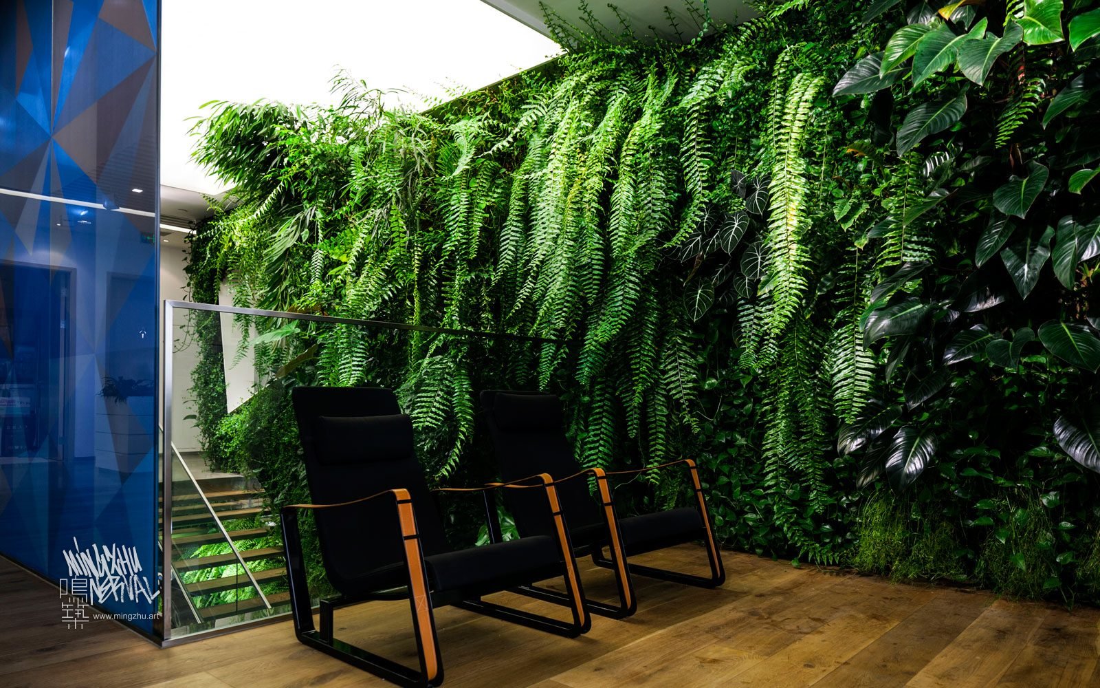 At Mingzhu Nerval, we thrive at creating the most beautiful vertical gardens in the world. For Dentsu Aegis, we created a terrific living wall design - Shanghai, 2016.
