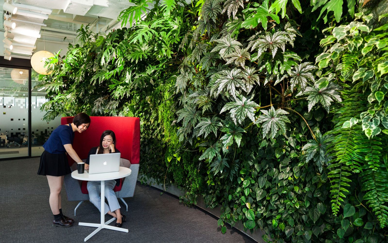 Vertical garden by Mingzhu Nerval at Google in Beijing, 2016
