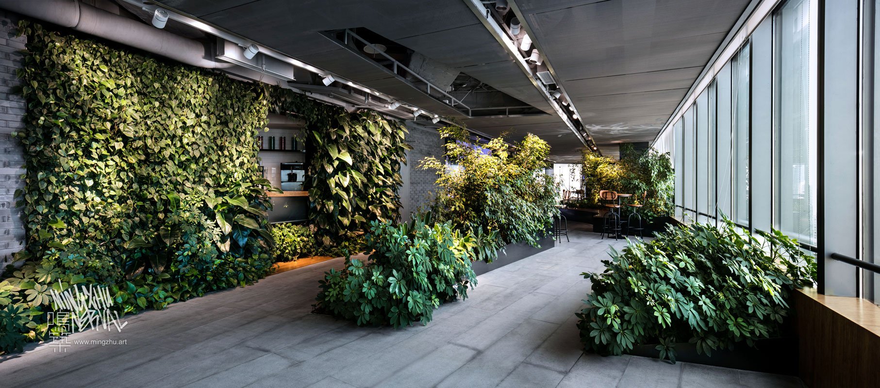 Mingzhu Nerval vertical living wall experts created the best garden design art for the Hines offices in Shanghai, 2016