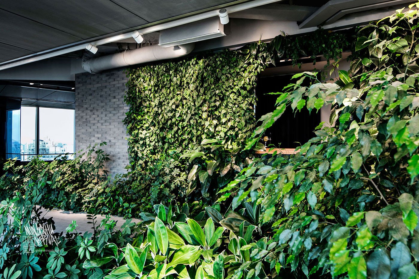 Mingzhu Nerval vertical living wall experts created the best garden design art for the Hines offices in Shanghai, 2016