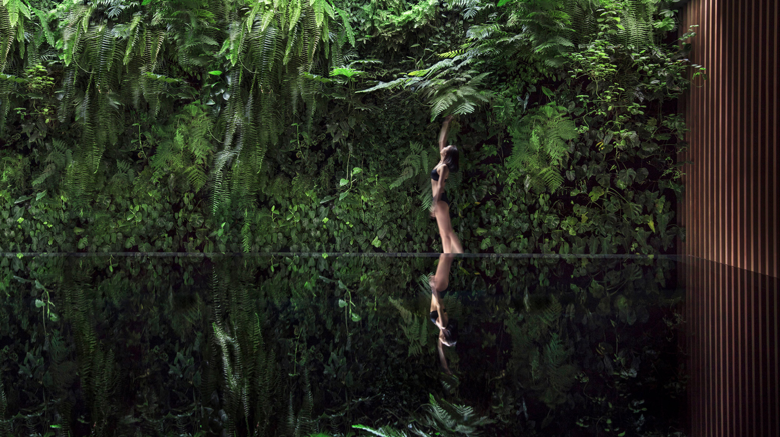 HHVilla A Nymph Garden, Tropical Swimming Pool Landscape, Private Villa in Beijing, 2017