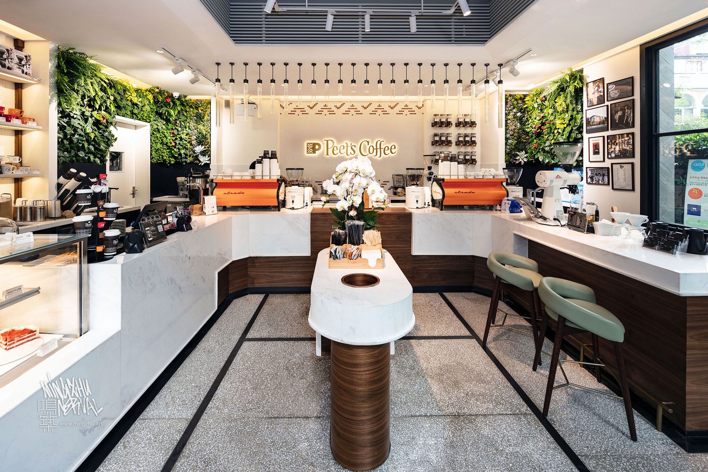 Mingzhu Nerval vertical living wall experts created a vertical living green wall for Peet's Coffee in Shanghai, 2018