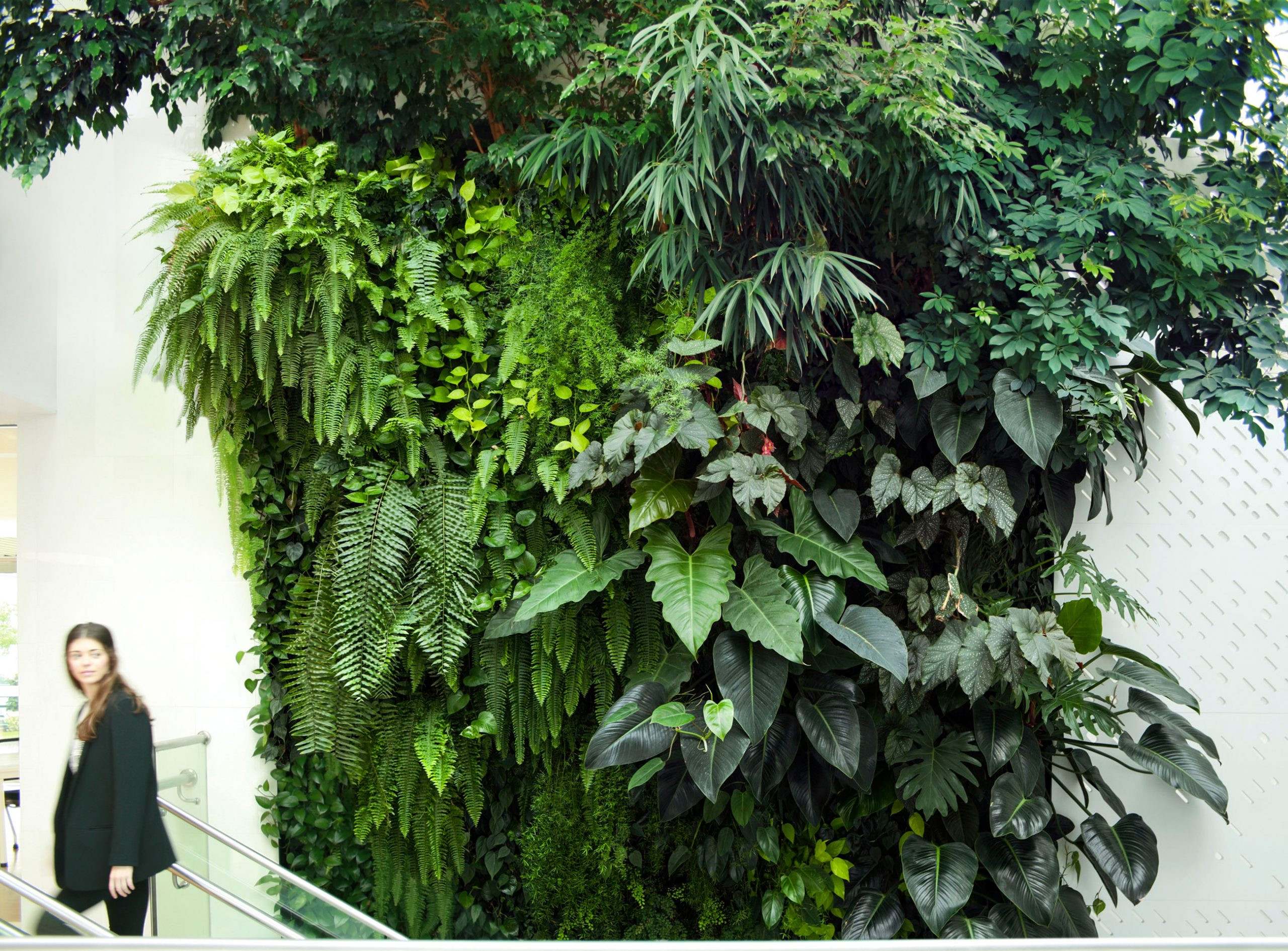 Vertical garden by Mingzhu Nerval at Nu Skin in Shanghai, 2013