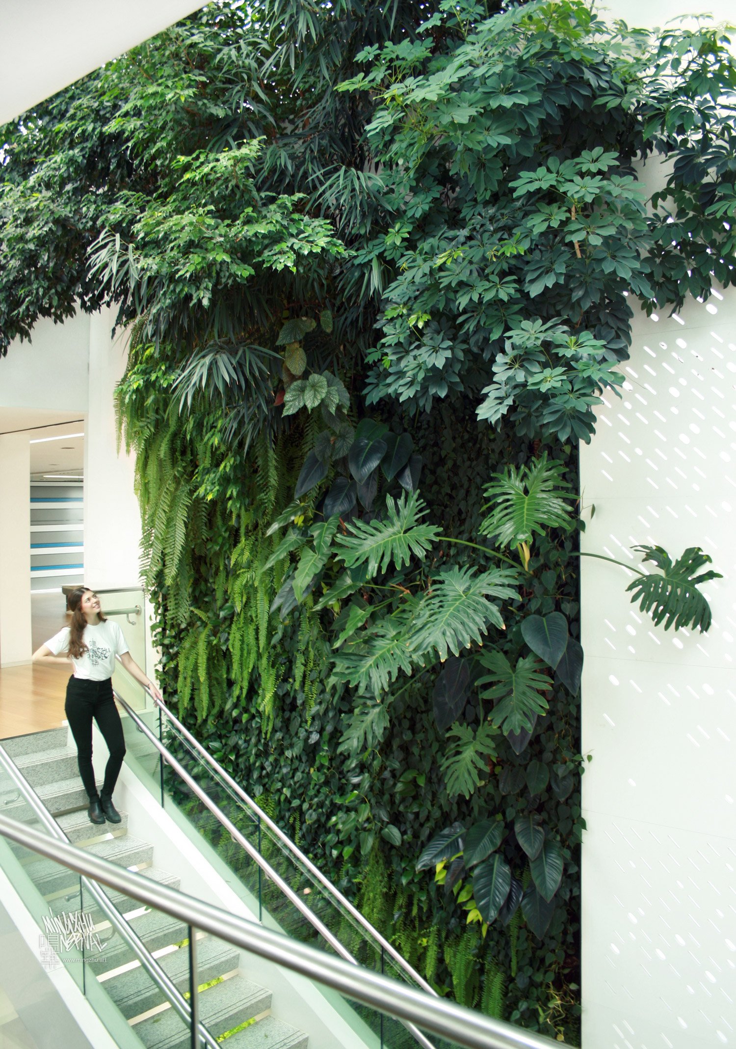 Mingzhu Nerval vertical living wall experts created the best garden design art at Nu Skin in Shanghai, 2013