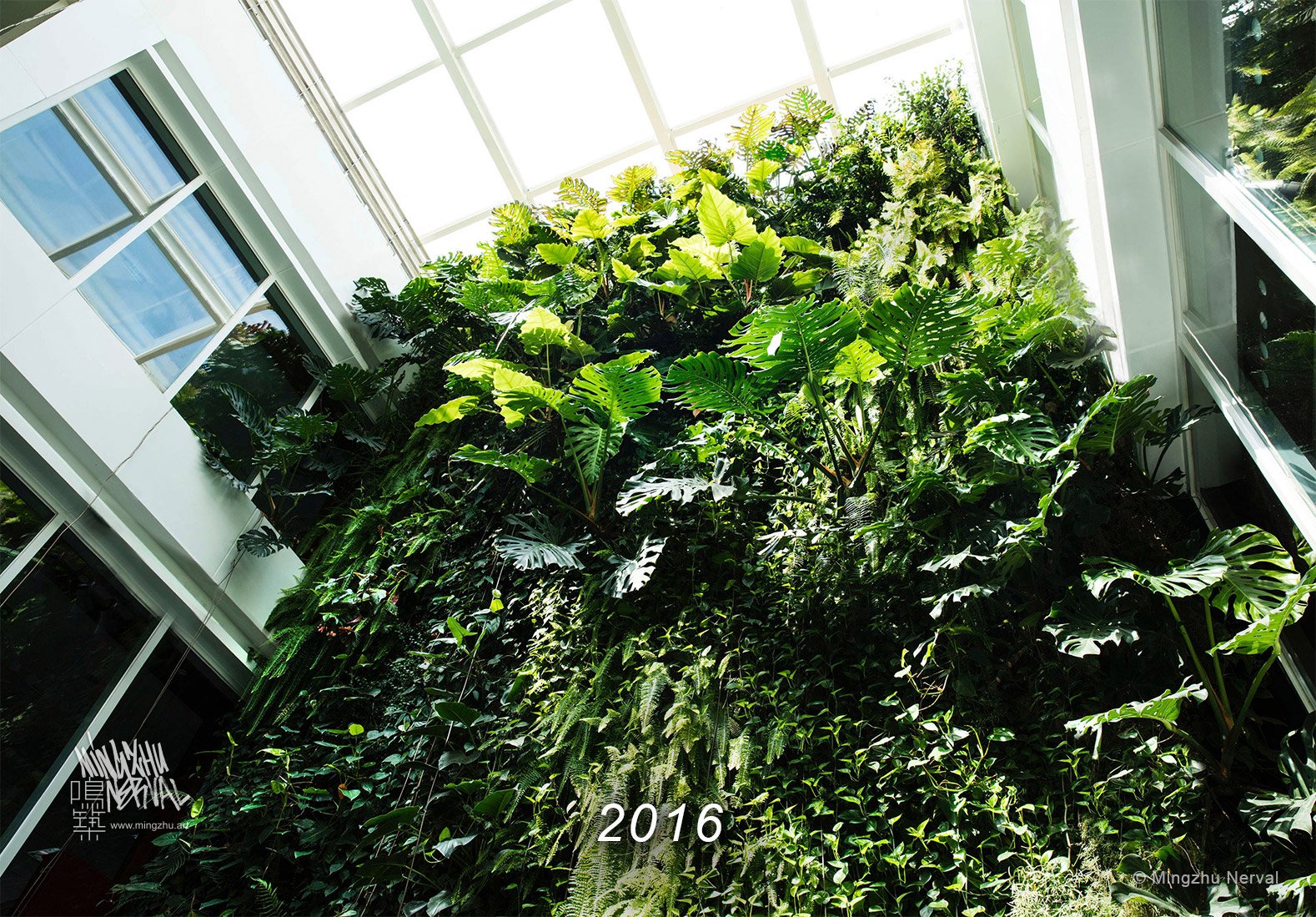 Mingzhu Nerval vertical living wall experts created the best garden design art at Clariant in Shanghai, 2016