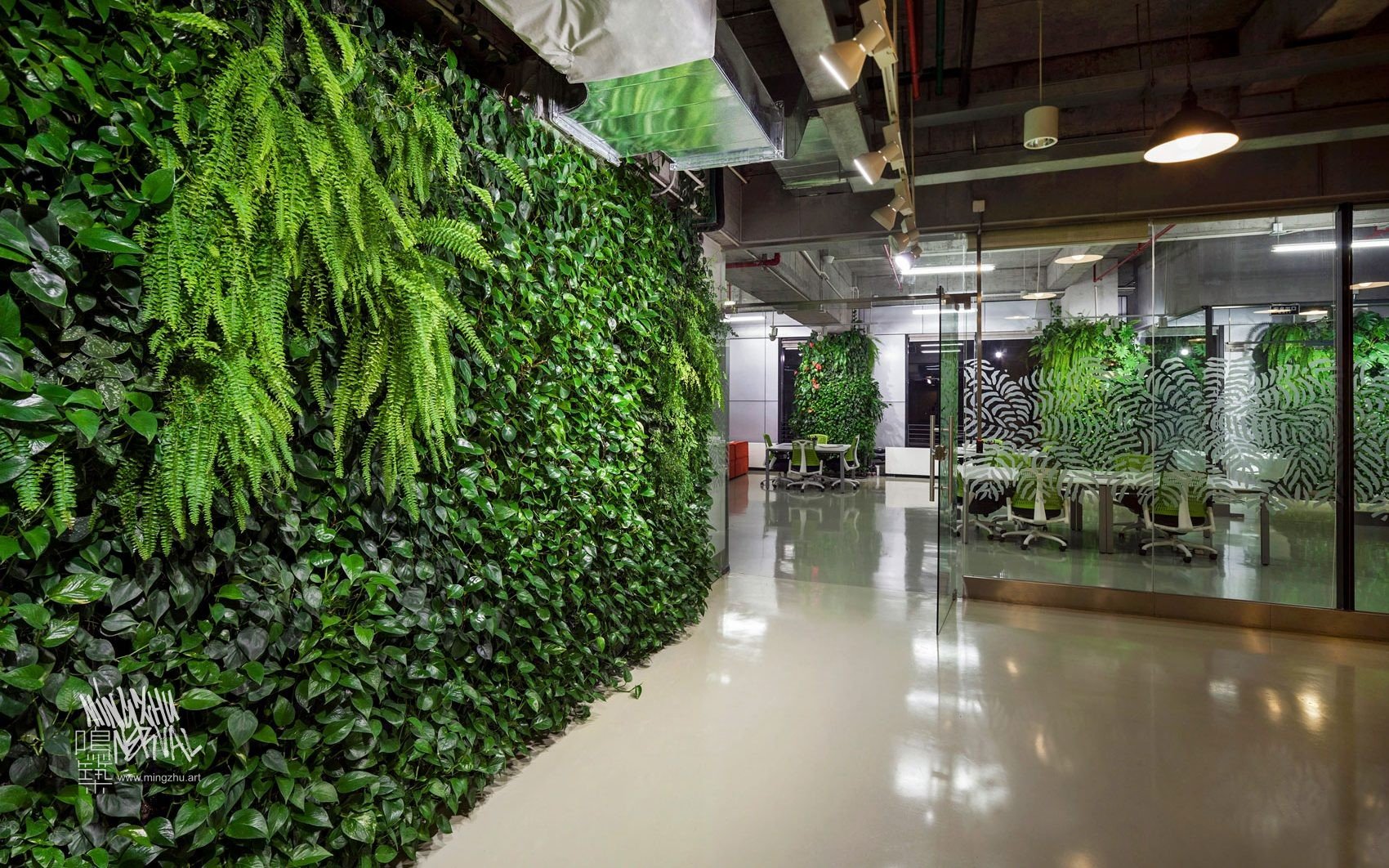 Mingzhu Nerval vertical living wall experts created the healthy nature workspace for the Dawnfinder offices in Shanghai, 2012