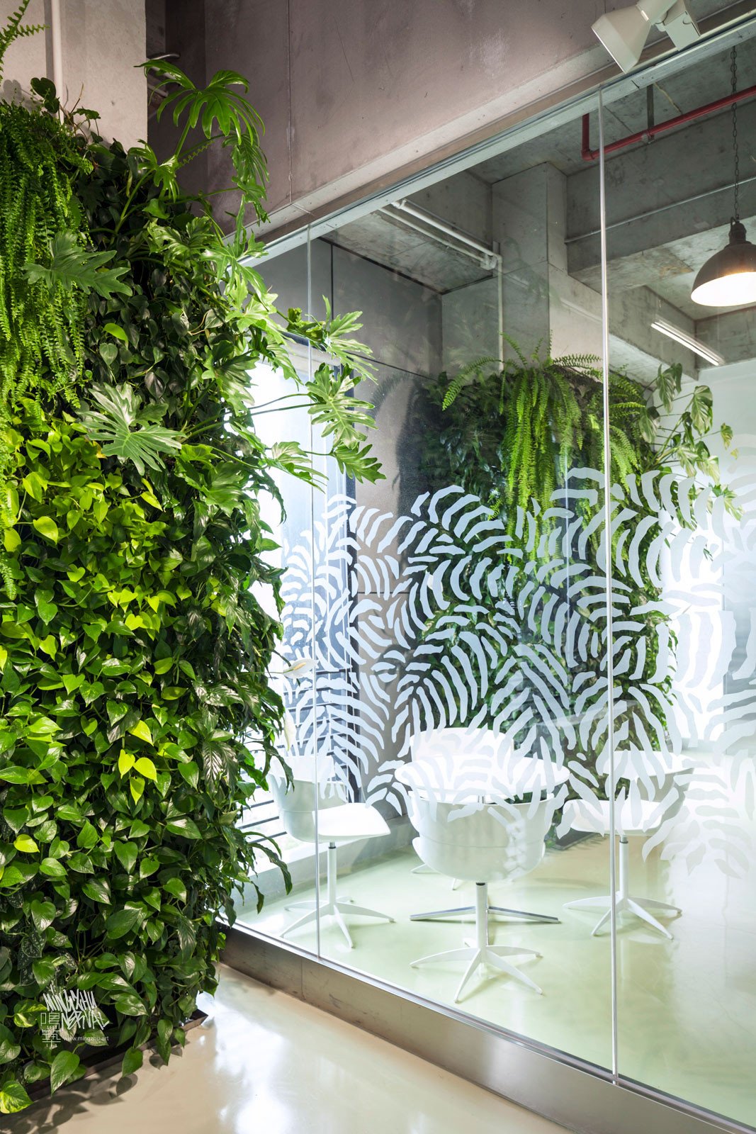 Mingzhu Nerval vertical living wall experts created the healthy nature workspace for the Dawnfinder offices in Shanghai, 2012