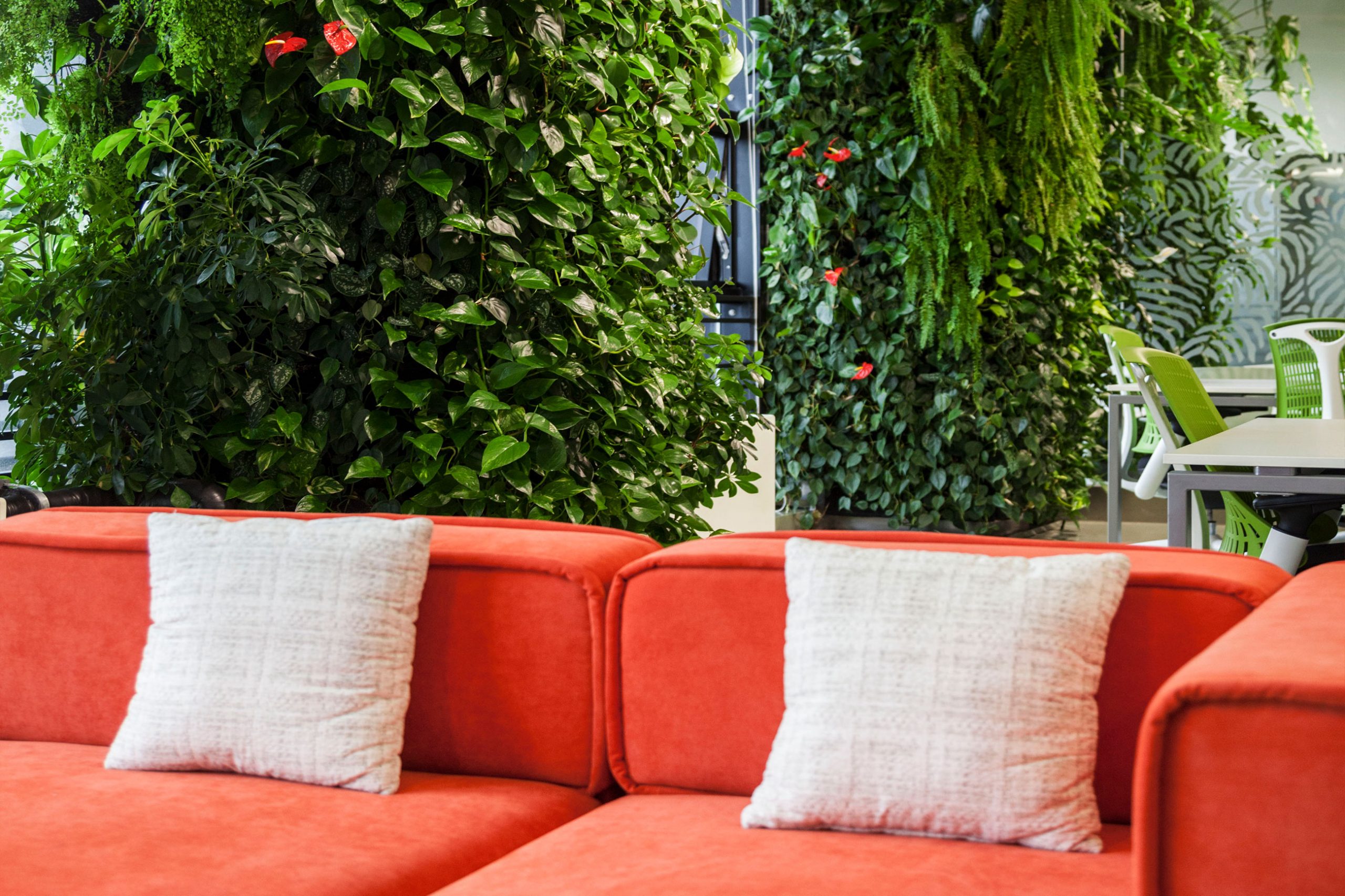 Vertical garden by Mingzhu Nerval at Dawnfinder in Shanghai, 2012
